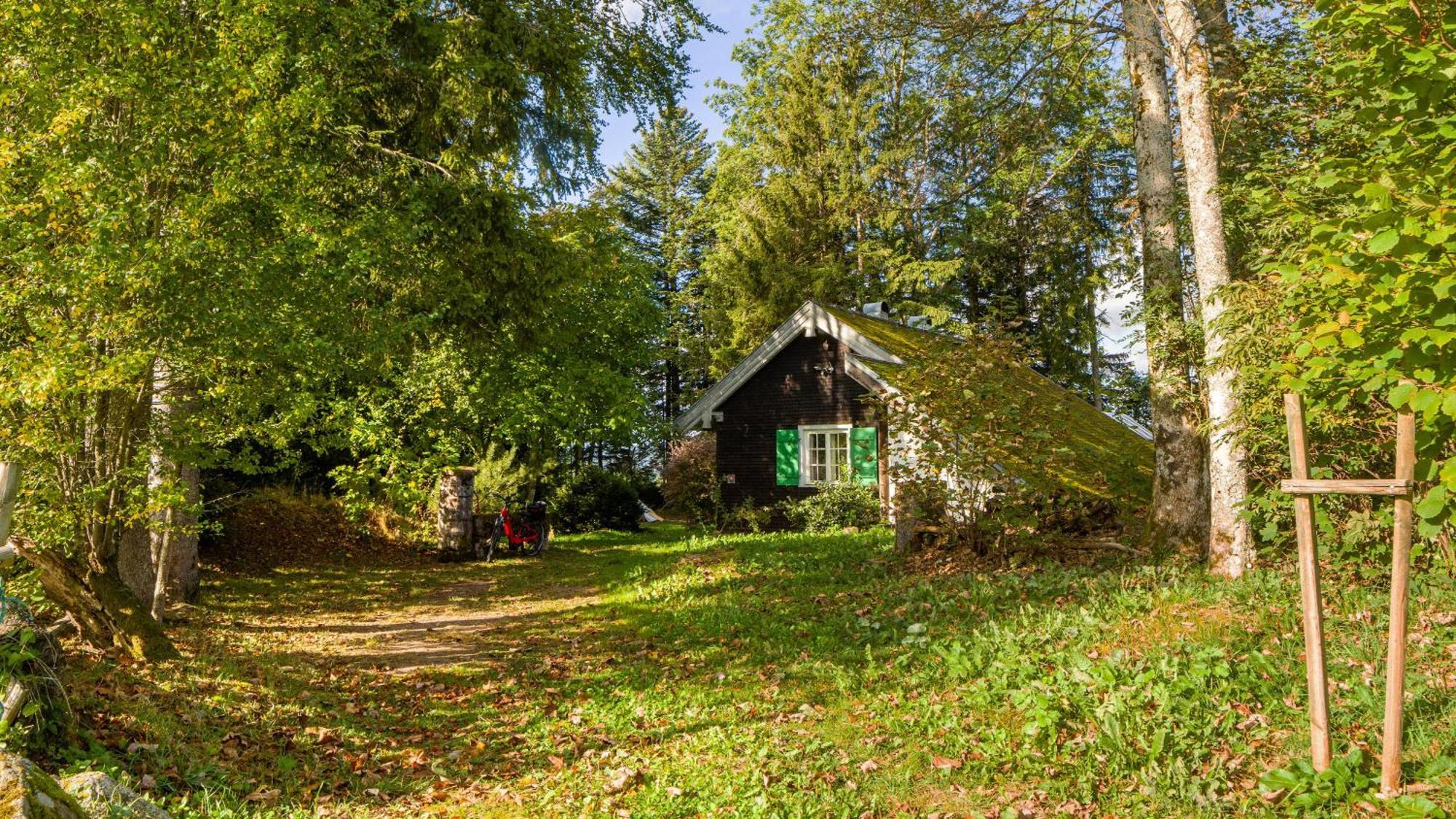 Holiday home Schneiderhaus